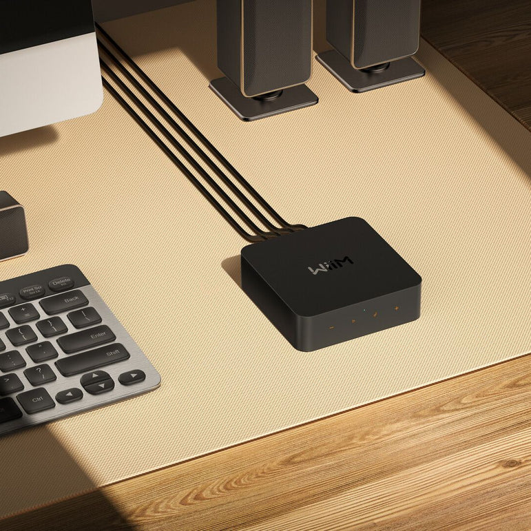 WiiM Pro Plus Network Streamer