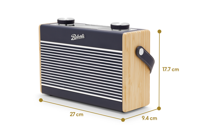 Roberts Radio Rambler Max